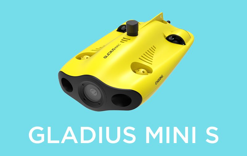 Gladius Mini S